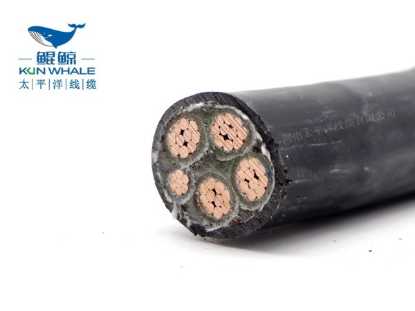 低煙無(wú)鹵電纜應用在哪些場(chǎng)所你知道嗎？