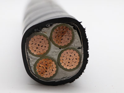 YJV22低壓電力電纜PVC絕緣和護套需要進(jìn)行哪些試驗？