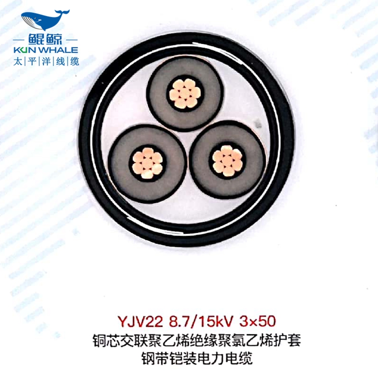 鄭州電纜廠(chǎng)高低壓電纜廠(chǎng)商淺談鎧裝電纜有哪些特點(diǎn)？鎧裝電纜型號