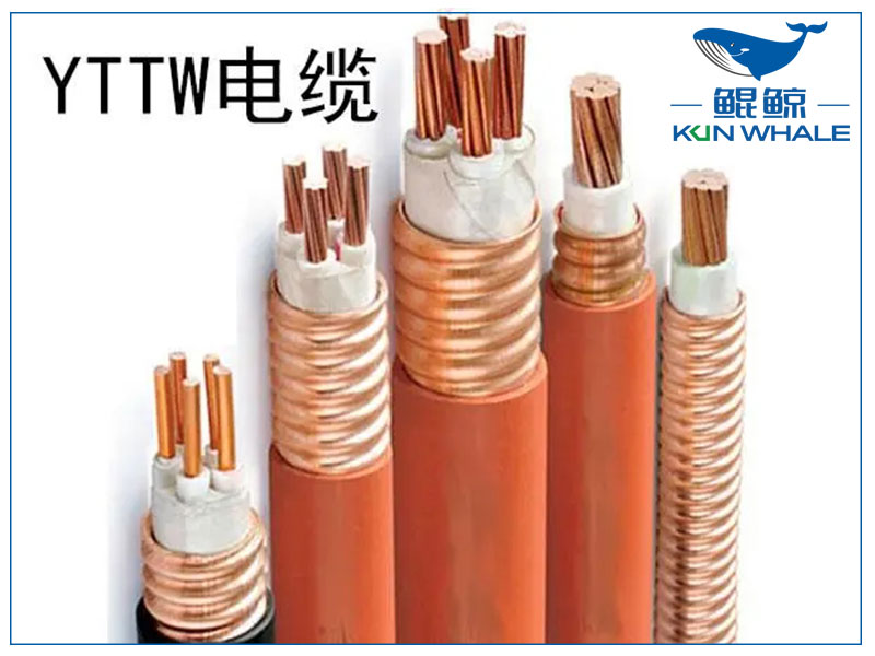 鄭州電纜廠(chǎng)太平洋線(xiàn)纜帶你了解yttw電纜是做什么的以及優(yōu)缺點(diǎn)