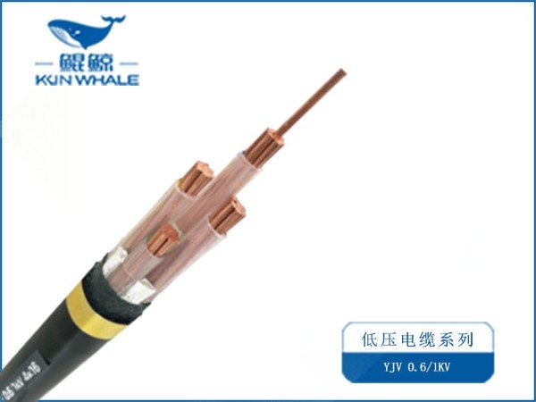 求購電線(xiàn)電纜廠(chǎng)家16平方電纜35米
