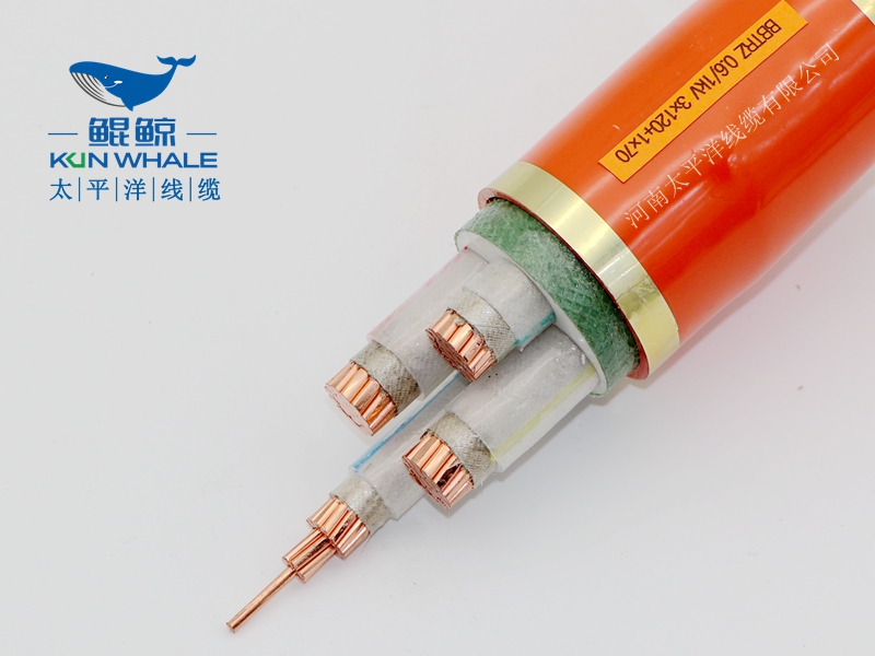 電線(xiàn)電纜廠(chǎng)家淺談什么叫BTTRZ電纜YTTW電纜型號是什么？